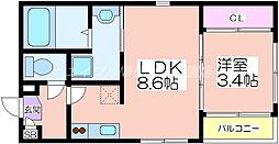 ハーモニーテラス安立IV 3階/-