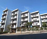 グランドハイツ澤野井 3階 築41年2ヶ月の賃貸物件