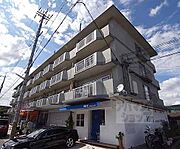 陵南ハイツ 4階 築53年6ヶ月の賃貸物件