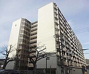 東野駅より徒歩12分 10階 築55年8ヶ月の賃貸物件