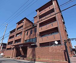 近鉄京都線 向島駅 徒歩8分の賃貸マンション