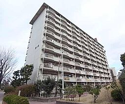 近鉄京都線 向島駅 徒歩9分の賃貸マンション