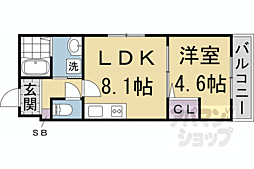 京阪本線 中書島駅 徒歩9分の賃貸マンション 5階1LDKの間取り