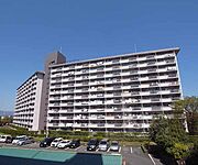 向島駅より徒歩6分 6階 築47年3ヶ月の賃貸物件
