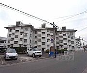淀団地第一住宅 1階 築59年1ヶ月の賃貸物件