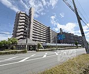 淀駅より徒歩20分 10階 築36年の賃貸物件