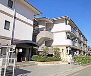 橋本マンション 1階 築36年5ヶ月の賃貸物件
