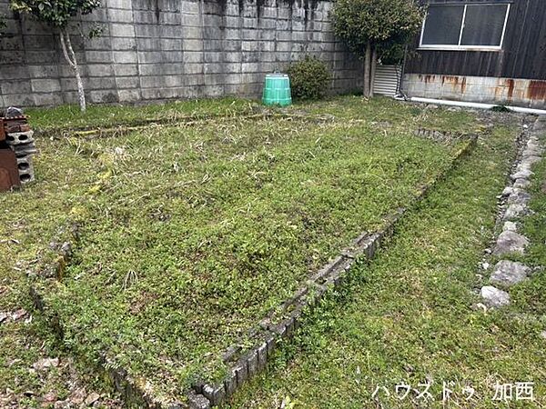 庭