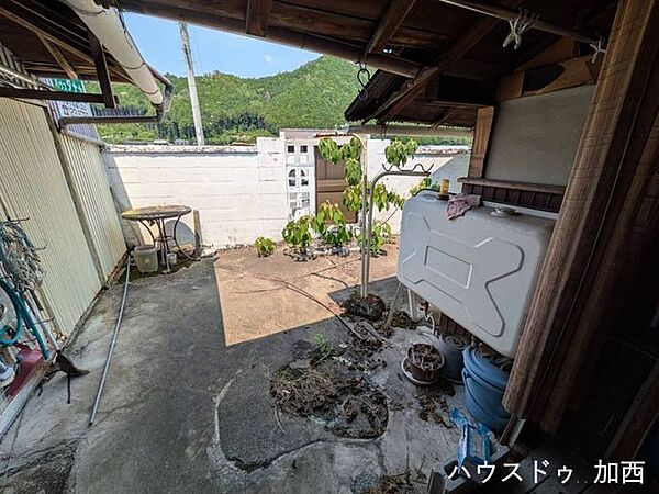 庭