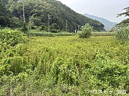 兵庫県養父市養父市場