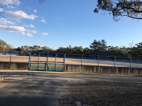 豊橋球場 1160m