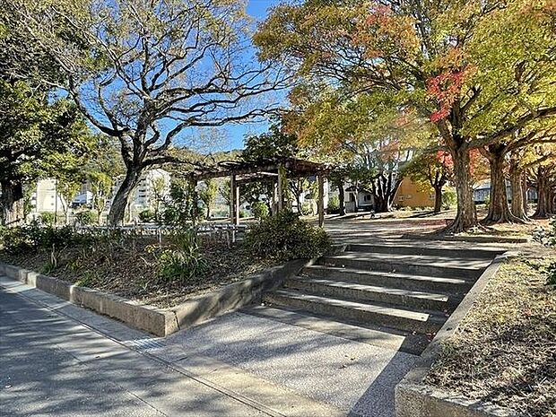 緑ケ丘公園 3770m