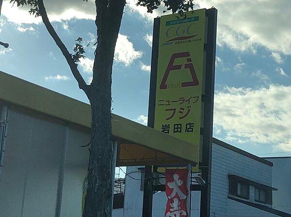 ニューライフフジ　岩田店 700m