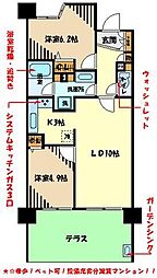 アンビシャス河辺 1階2LDKの間取り