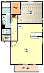 ウィルモア 1階1LDKの間取り