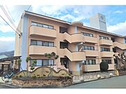 第2サンコウハイツ 1階 築40年7ヶ月の賃貸物件