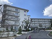 菖蒲池駅より徒歩8分 1階 築45年の賃貸物件