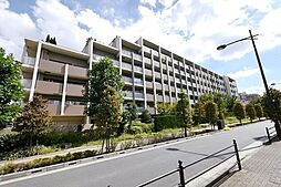 ロイヤルパークス花小金井