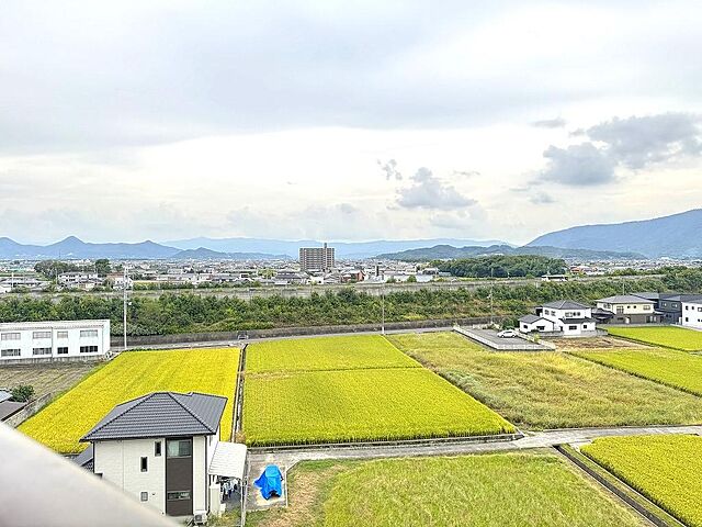 その他 サーパス郡家 7階/-