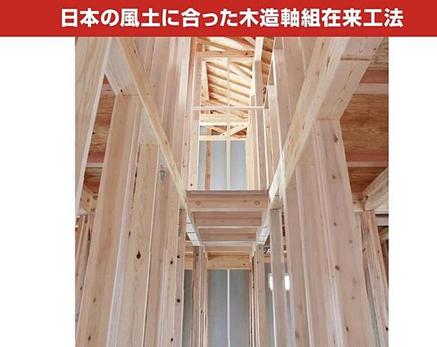 木の家にこだわります。木は、山から切り出して乾燥させた後も、温度や湿度の変化に合わせて呼吸を続けます。
