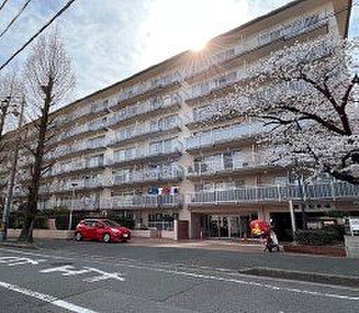 外観：340000254733