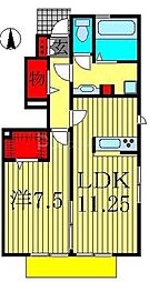 JR常磐線 亀有駅 徒歩17分