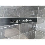 ange-celesteのイメージ