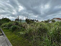 恩納村名嘉真　売土地の土地画像