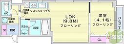 PRIME円山 2階1LDKの間取り