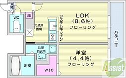 シティレジデンス新道東 1LDKの間取図画像