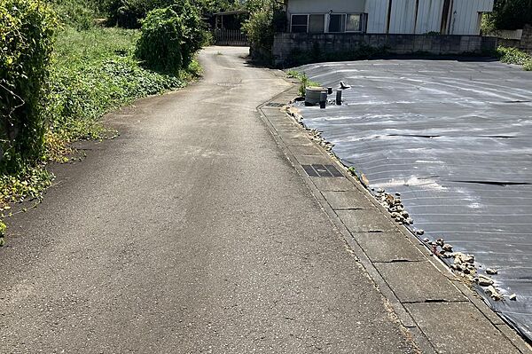 現地写真。（８枚目）