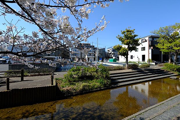 【外観 ・六辻水辺公園/遊歩道より】自然豊かな住環境・桜の開花が楽しみ・遊歩道から建築中外観を望む