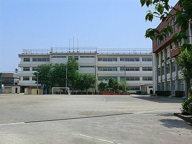 小学校 500m 川口市立上青木南小学校