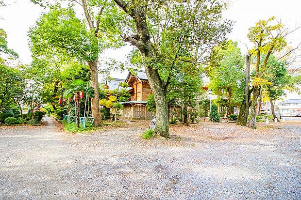 公園 172m 蕨城址公園