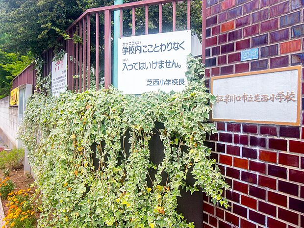 小学校 480m 芝西小学校