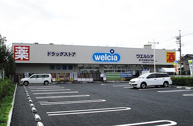 ドラッグストア 650m ウエルシア