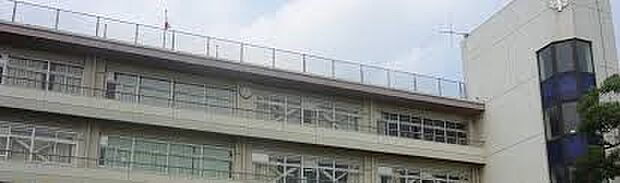 小学校 986m 川口市立南鳩ヶ谷小学校