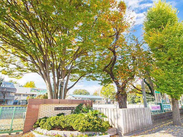 小学校 950m さいたま市立大門小学校(さいたま市立大門小学校 徒歩12分)