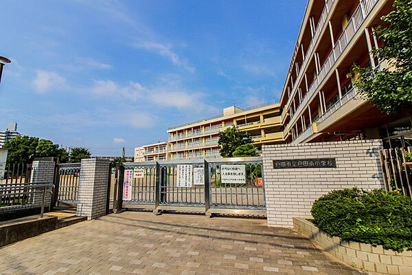 小学校 800m 戸田南小学校(戸田市立戸田南小学校　徒歩11分)
