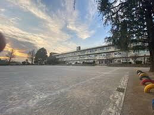 小学校 1074m 川口市立鳩ケ谷小学校