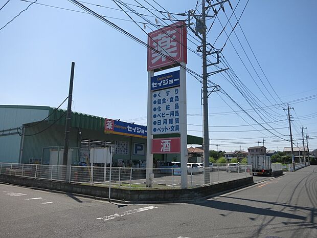 ドラッグストア 550m セイジョー浦和円正寺
