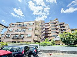 セザール大宮日進