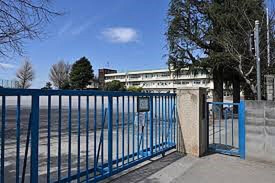 小学校 1096m 川口市立鳩ケ谷小学校