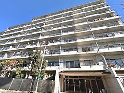 ハイストンハイツ