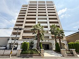 アデニウム川口元郷