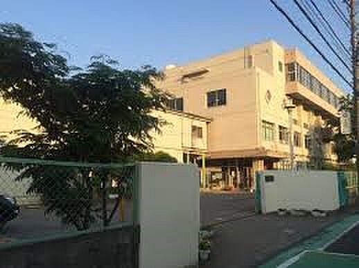 小学校 267m 川口市立前川東小学校