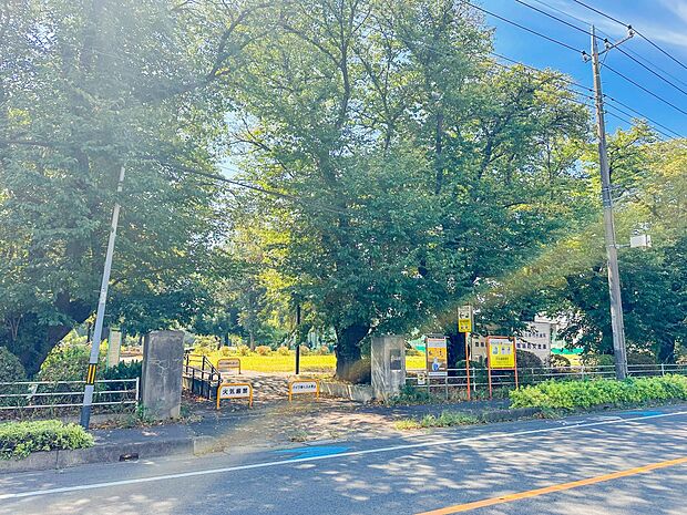 公園 240m つつじヶ丘公園(北区吉野町2丁目にある公園。ブランコ、滑り台、ジャングルジム等の遊具やベンチが設置されており、駐車場もあります。)