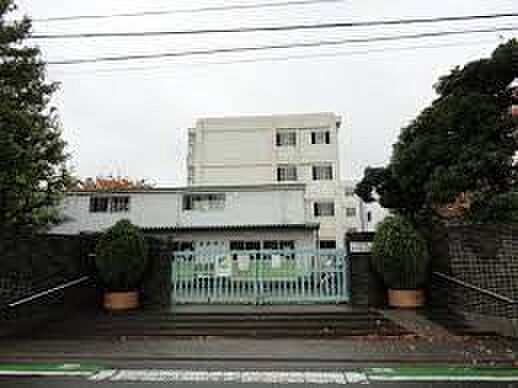 小学校 262m 川口市立芝中央小学校
