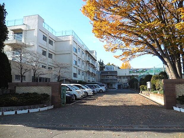 小学校 500m 大門小学校