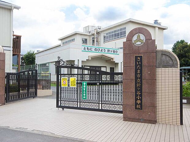 小学校 480m 針ヶ谷小学校(学校のスクールツリーはすずかけの木。その木を基本にすずかけプロジェクトというプランを立ち上げ、学校総緑化を目指しています。夢は、きらびやかな花と鮮やかな緑と人…